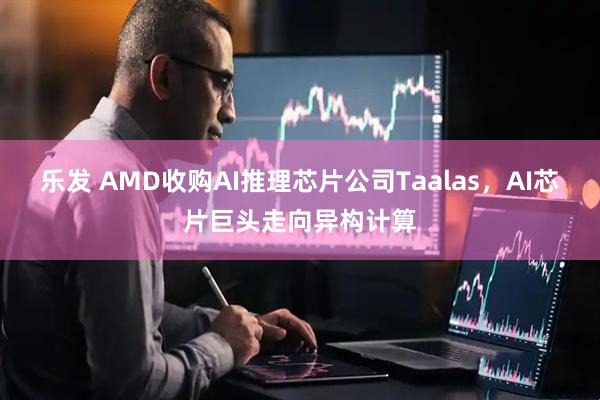 乐发 AMD收购AI推理芯片公司Taalas，AI芯片巨头走向异构计算